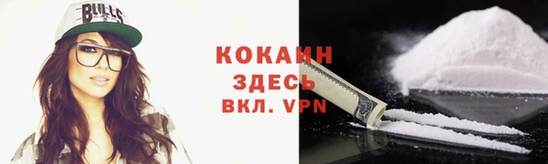 spice Аркадак