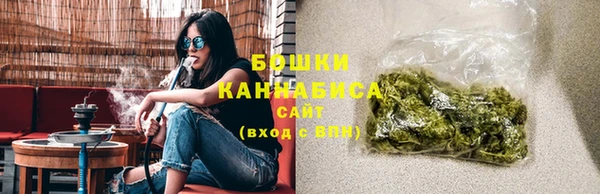spice Аркадак