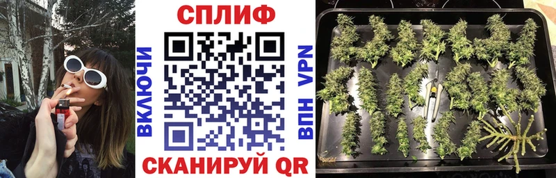дарк нет состав  kraken   Гремячинск  Бошки Шишки индика 